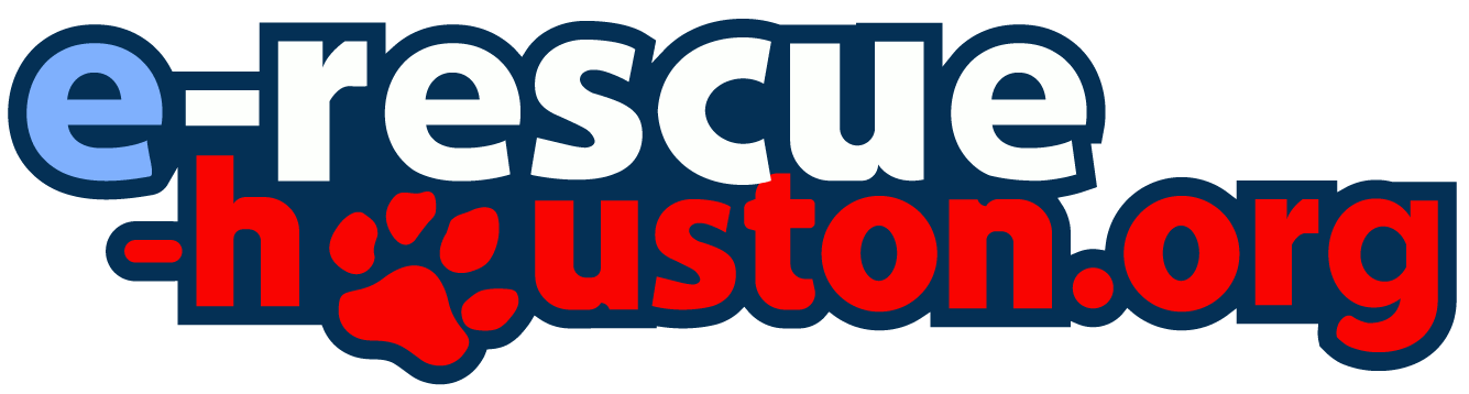 e-Rescue Houston