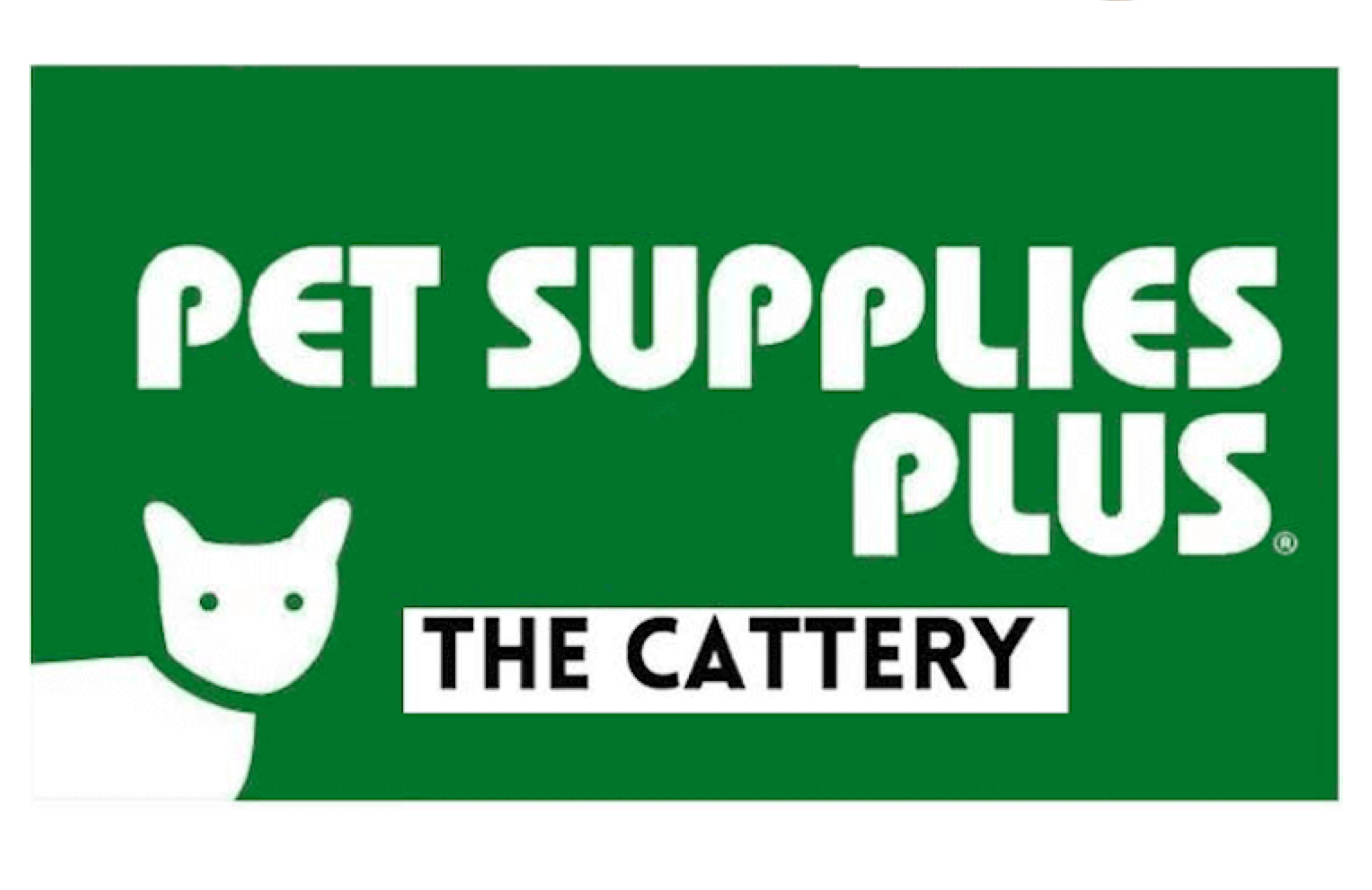 Pet supplies plus hot sale kittens